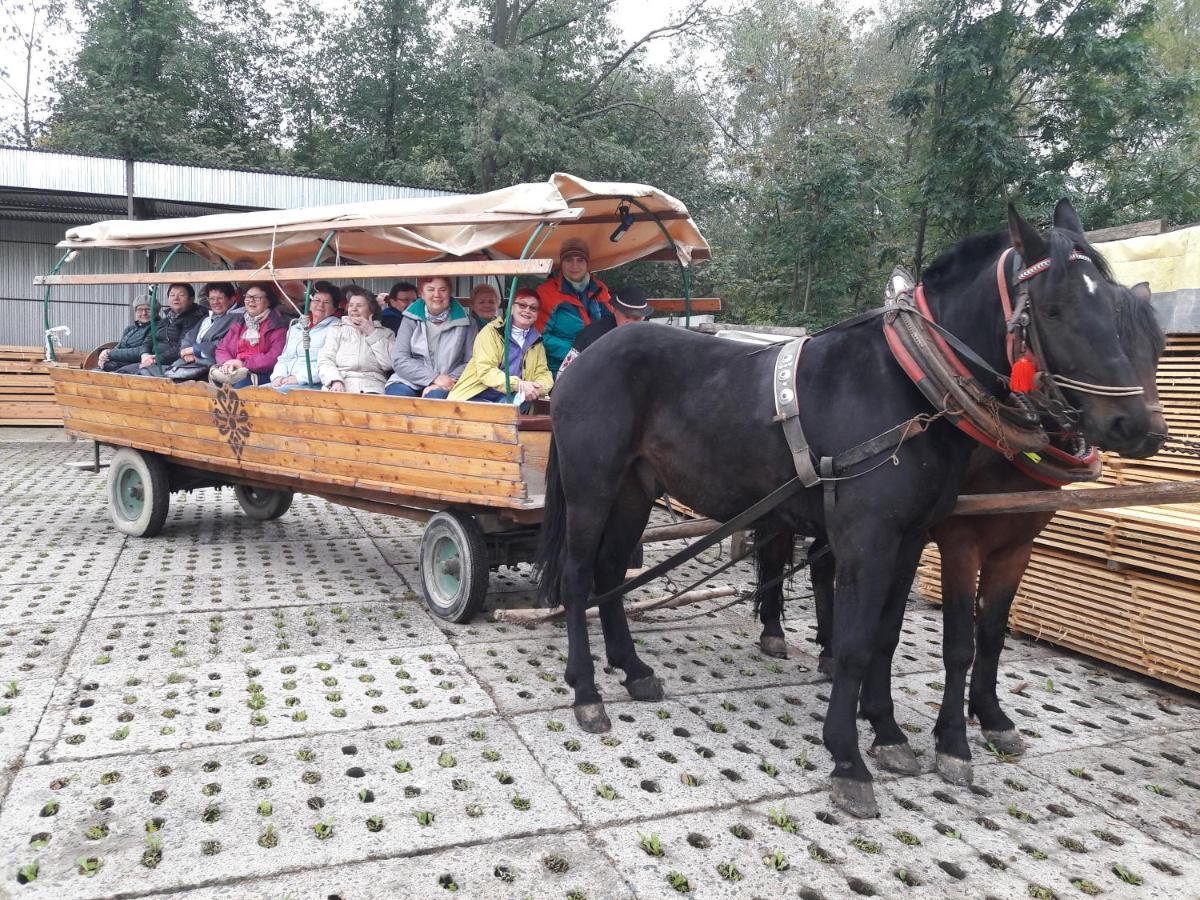 Agroturystyka U Misia Niedzwiedz Luaran gambar